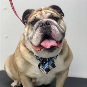 Meet your Posher, Jason